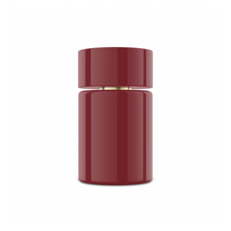 Bad Icon - perfume 100ml