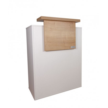 Móvel de Recepção Moderno 2