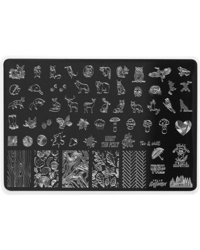 Autumn 2 stamping plate