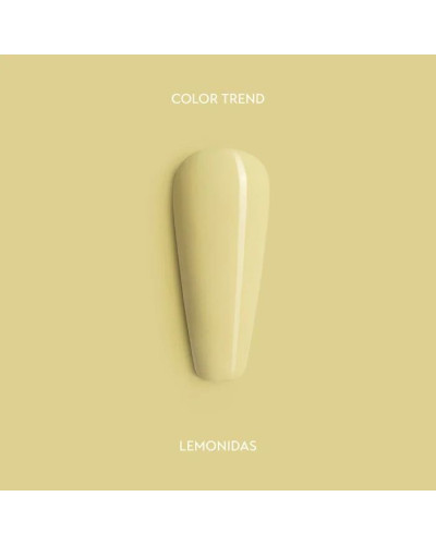 Coleção Spring 2026